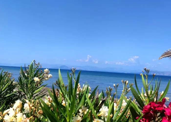 Blue Waves Corfu *